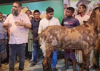 ছাগলটি যশোর থেকে ১ লাখে এনে বিদেশি বলে ১৫ লাখ হাঁকিয়েছিল সাদেক এগ্রো