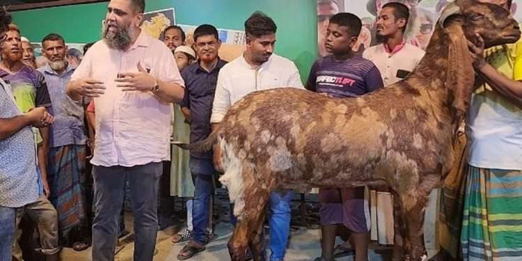 ছাগলটি যশোর থেকে ১ লাখে এনে বিদেশি বলে ১৫ লাখ হাঁকিয়েছিল সাদেক এগ্রো