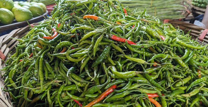 মরিচের দাম ঢাকায় নিম্নমুখী, বাইরে অস্থিরতা