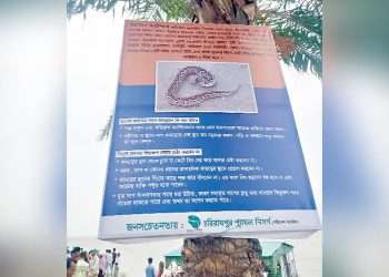 থমকে গেছে পদ্মা পাড়ের জনজীবন