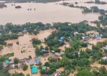 ‘তারা বেঁচে আছে নাকি মারা গেছে তাও জানি না’