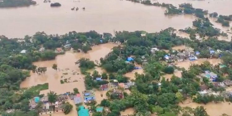 ‘তারা বেঁচে আছে নাকি মারা গেছে তাও জানি না’