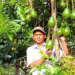 কোটচাঁদপুরে অ্যাভোকাডো চাষ করে সফলতা শিক্ষক: হারুন অর রশিদ মুসার