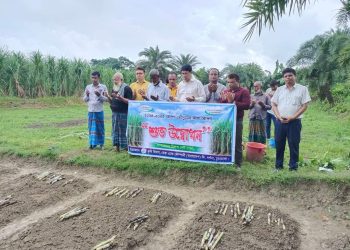 দর্শনাস্থ কেরুজ চিনিকলের আখ চাষির জমির  এসটিপি বেড উদ্বোধন