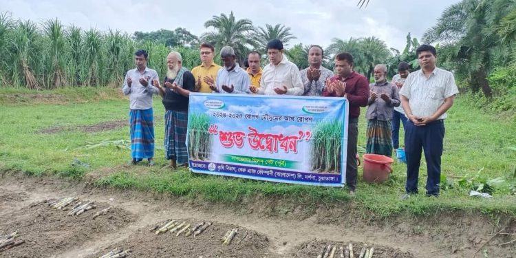 দর্শনাস্থ কেরুজ চিনিকলের আখ চাষির জমির এসটিপি বেড উদ্বোধন