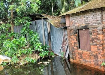 কোরবানির ‘হাড্ডিতে’ মেয়ের গোস্তের আবদার মিটিয়ে কাঁদলেন বাবা