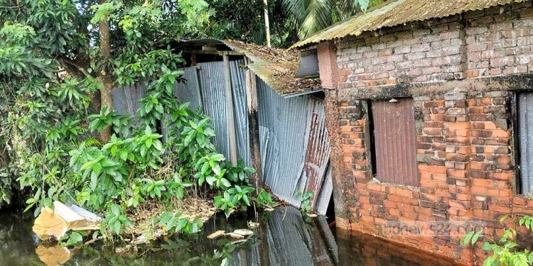 কোরবানির ‘হাড্ডিতে’ মেয়ের গোস্তের আবদার মিটিয়ে কাঁদলেন বাবা
