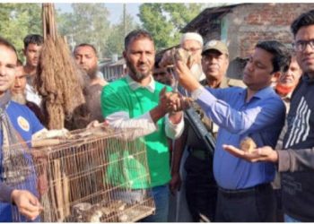 নাটোরের সিংড়ায় দুই পাখি শিকারিকে জরিমানা, ১৫ পাখি অবমুক্ত