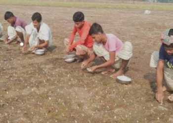 চলনবিলে শুরু হয়েছে বিনাহালে  রসুন চাষ “উৎপাদন লক্ষ্যমাত্রা ৩৯ হাজার ৬০৪ হেক্টর”
