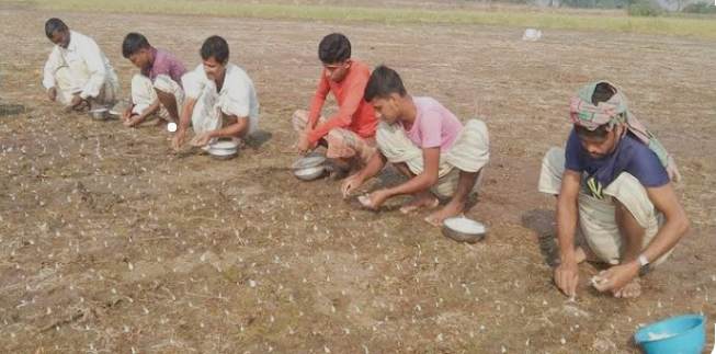 চলনবিলে শুরু হয়েছে বিনাহালে রসুন চাষ “উৎপাদন লক্ষ্যমাত্রা ৩৯ হাজার ৬০৪ হেক্টর”
