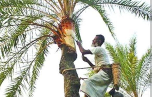 নাটোরের লালপুরে খেজুর গুড় উৎপাদনের লক্ষ্যমাত্রা প্রায় সাড়ে ৭ হাজার মেট্রিকটন