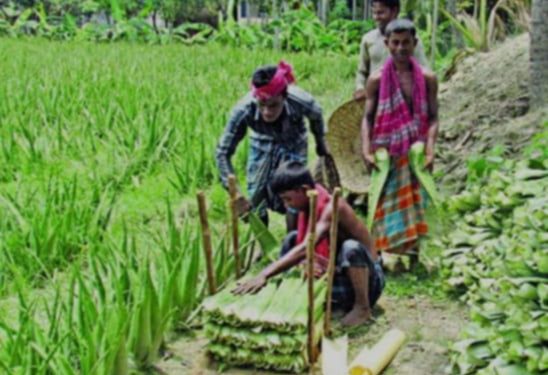 “উদ্যোক্তা আফাজ পাগলার স্বপ্ন পুরন” লক্ষীপুর-খোলাবাড়িয়ার ঔষধী গ্রাম’ বদলে দিয়েছে নাটোরের অর্থনীতি