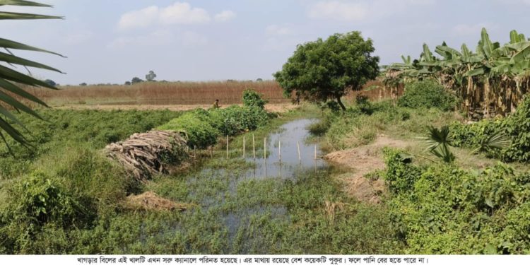 জলাবদ্ধতায় প্রতিবছর প্রায় দুই হাজার একর জমির ফসল বিনষ্ট হয় মেহেরপুরের চাষিদের দুঃখ খাগড়ার বিল