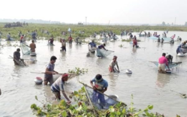 দুই দশকে বিলুপ্তপ্রায় চলনবিলের ৯০ প্রজাতির মাছ