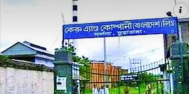 কেরুজ চিনিকলের ২০২৪-২৫ আখ মাড়াই শুরু ও লাভের লক্ষে ব্যস্ত কর্তৃপক্ষ