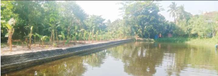 নাটোরে আইন অমান্য করে ঐতিহ্যবাহী ‘চন্দ্র প্রামানিক পুকুর’ দখলের অভিযোগ