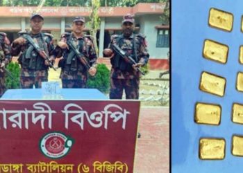 দামুড়হুদা সীমান্তের মাঠ থেকে ১০টি সোনার বার উদ্ধার
