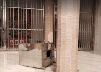 নাটোরে কালী মন্দিরের দান বাক্স ভেঙে চুরি