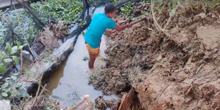 কালীগঞ্জে জমি সংক্রান্ত বিরোধে প্রজেক্টের মাছ লুটের অভিযোগ