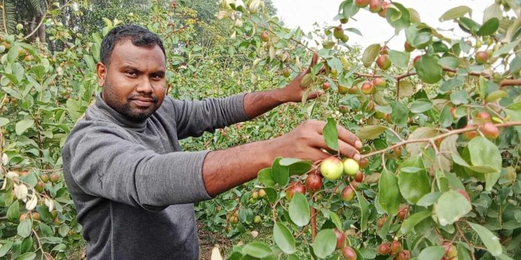 তরুণ কৃষি উদ্যোক্তা রাকিবুল ইসলামের সফলতার গল্প