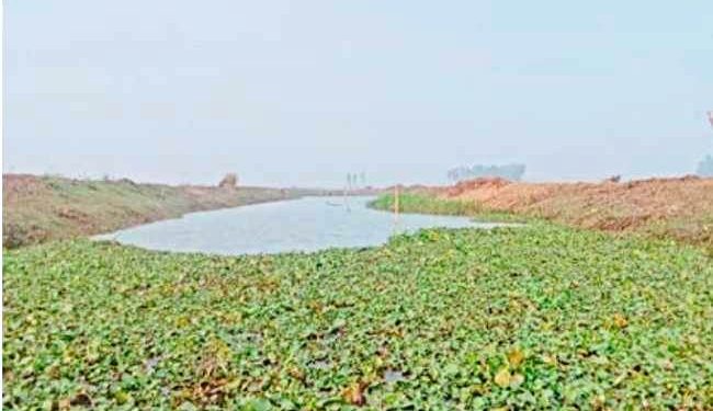 নাটোরে ২৭৭ কিলোমিটার খাল পুনঃখনন,কৃষিতে নতুন সম্ভবনা-সুফল পাচ্ছেন কৃষকেরা