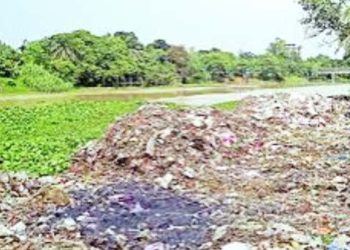 দখল-দূষণে অস্তিত্ব সঙ্কটে নাটোরের নন্দকুজা নদী