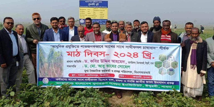 ঝিনাইদহে আধুনিক প্রযুক্তিতে আখের সাথে সাথীফসল চাষাবাদ শীর্ষক মাঠ দিবস অনুষ্ঠিত