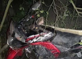 নাটোরের নলডাঙ্গায় সড়ক দুর্ঘটনায় দুই স্কুল ছাত্রের মৃত্যু