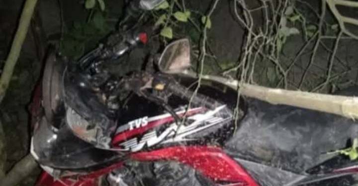 নাটোরের নলডাঙ্গায় সড়ক দুর্ঘটনায় দুই স্কুল ছাত্রের মৃত্যু