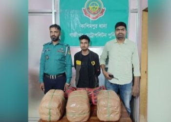 কাশিমপুরে গাঁজাসহ মাদক কারবারি আটক