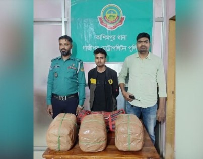 কাশিমপুরে গাঁজাসহ মাদক কারবারি আটক