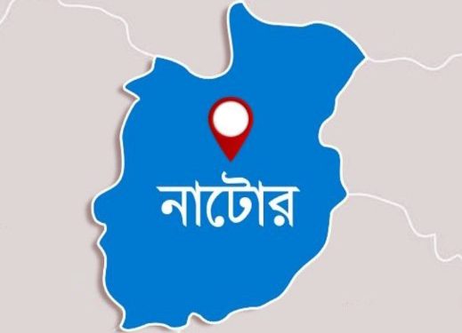 নাটোরের বাগাতিপাড়ায় স্বামীর সঙ্গে অভিমান করে গৃহবধূর আত্মহত্যা