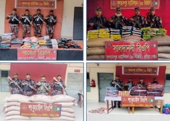 কুমিল্লায় অবৈধ ভারতীয় মালামাল ও মাদক জব্দ করেছে বিজিবি