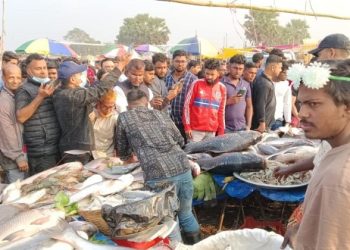 গাজীপুরে আড়াইশ বছরের পুরোনো ঐতিহ্যের জামাই মেলা