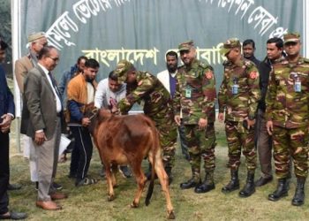 কুড়িগ্রামে সেনাবাহিনীর উদ্যোগে প্রাণি চিকিৎসাসেবা প্রদান