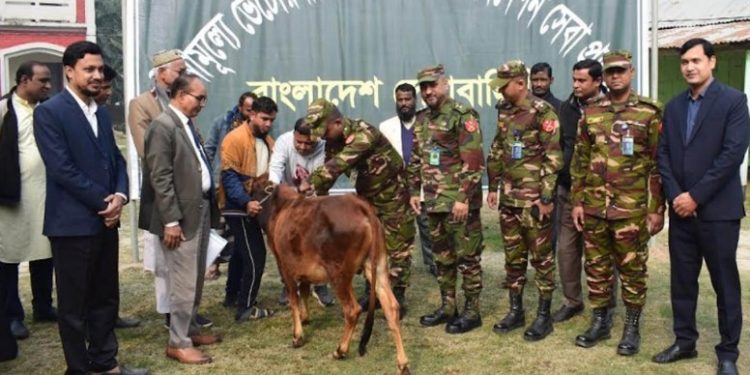 কুড়িগ্রামে সেনাবাহিনীর উদ্যোগে প্রাণি চিকিৎসাসেবা প্রদান