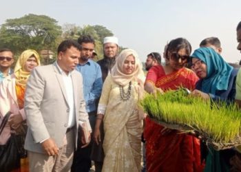 কালীগঞ্জে ট্রান্সপ্লান্টারের মাধ্যমে ধানের চারা রোপন কর্মসূচি উদ্বোধন