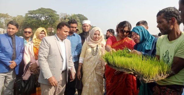 কালীগঞ্জে ট্রান্সপ্লান্টারের মাধ্যমে ধানের চারা রোপন কর্মসূচি উদ্বোধন