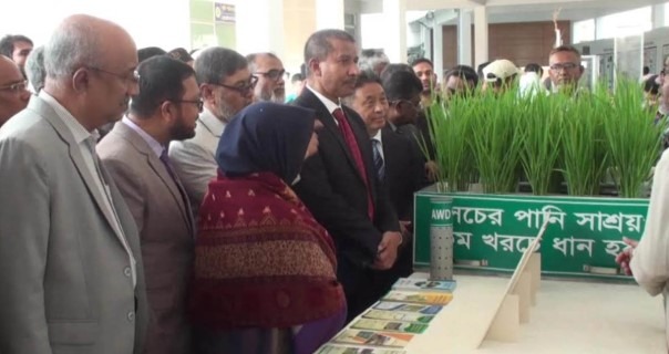 গাজীপুরে ব্রি পর্যালোচনা কর্মশালা অনুষ্ঠিত