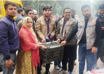 ঢাকা কাজলা থেকে উদ্ধার হওয়া হনুমানের ঠাঁই হলো গাজীপুর সাফারি পার্কে