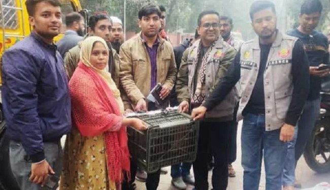 ঢাকা কাজলা থেকে উদ্ধার হওয়া হনুমানের ঠাঁই হলো গাজীপুর সাফারি পার্কে