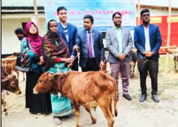 নাটোরের সিংড়ায় ক্ষুদ্র নৃ-গোষ্ঠী পরিবারের মাঝে গবাদি পশু বিতরণ