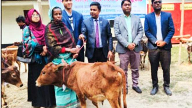 নাটোরের সিংড়ায় ক্ষুদ্র নৃ-গোষ্ঠী পরিবারের মাঝে গবাদি পশু বিতরণ