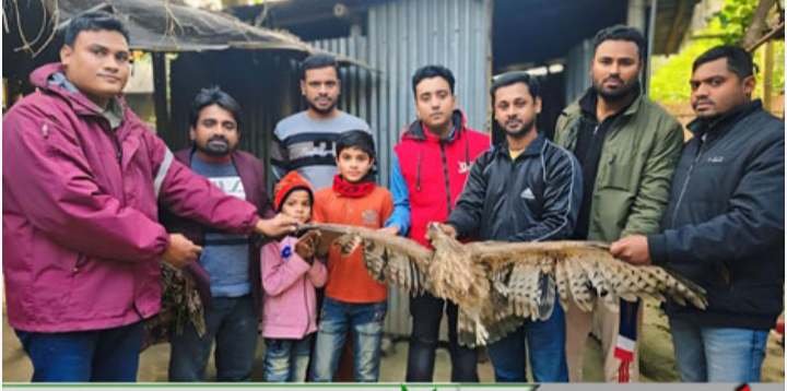 নাটোরের গুরুাসপুরে গুলিবিদ্ধ অবস্থায় ভুবন চিল উদ্ধার