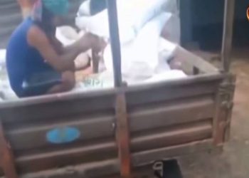 নাটোরের নর্থ বেঙ্গল সুগার মিলে বস্তা ছিদ্র করে সার চুরি-প্রতারিত হচ্ছে আখ চাষিরা