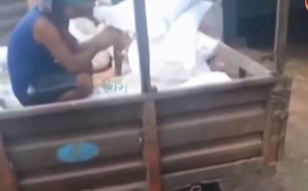 নাটোরের নর্থ বেঙ্গল সুগার মিলে বস্তা ছিদ্র করে সার চুরি-প্রতারিত হচ্ছে আখ চাষিরা