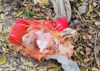 চুয়াডাঙ্গার কেরুজ চিনিকলে পাওয়া ৪টি বোমা বিস্ফোরণ ঘটালো সেনাবাহিনী