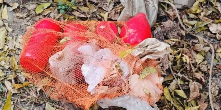 চুয়াডাঙ্গার কেরুজ চিনিকলে পাওয়া ৪টি বোমা বিস্ফোরণ ঘটালো সেনাবাহিনী