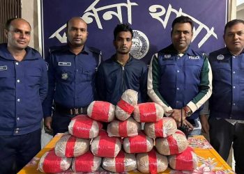 দর্শনায় ১৫ কেজি গাঁজাসহ গ্রেফতার ১