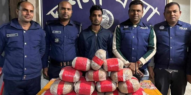 দর্শনায় ১৫ কেজি গাঁজাসহ গ্রেফতার ১